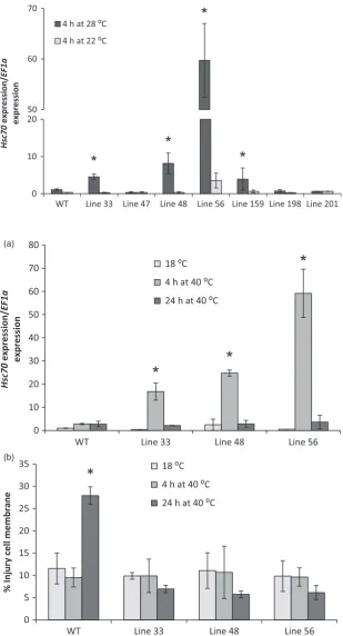 Figure 8 Screening of overexpression transgeniclevel ofHSc70(b) Membrane damage by electrolyte leakageassay of A2 HSc70-expressing lines and wild-typeplants Desiree cv (WT)