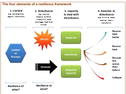 Figure 5: PEOPLES Resilience Framework [31]  