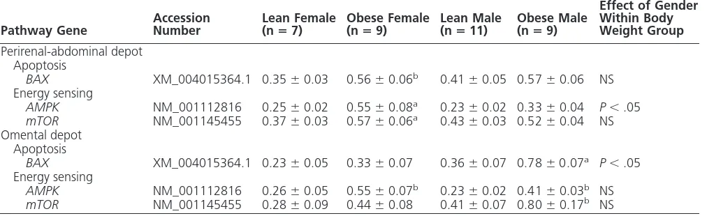 Table 4.Contrasting Effect of Gender and Juvenile Obesity on Gene Expression for Markers of Apoptosis andEnergy Sensing Between Perirenal-Abdominal and Omental Adipose Tissue of Young Adult Sheep