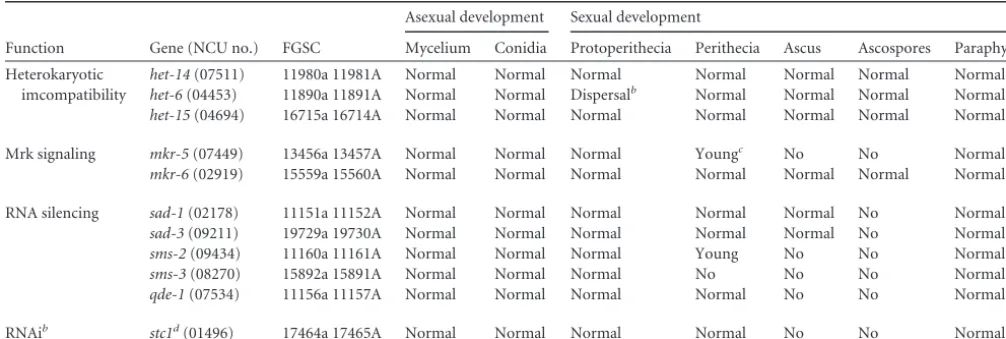 TABLE 3 Phenotyping of knockouts for genes that exhibited upregulated expression during perithecial developmenta