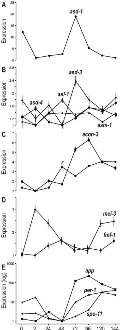 FIG 3 Relative expression across sexual development of genes annotated asfunctioning in perithecial development