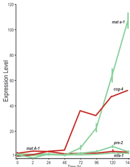TABLE 2 Comparative expression (in RPKM) of mating types, pheromones, and pheromone receptors across N