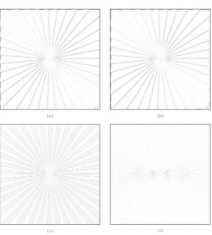 Figure 15:  Error Patterns For Test Pattern Image Interpolation.(a) Bicubic.  (b) Cubic Spline