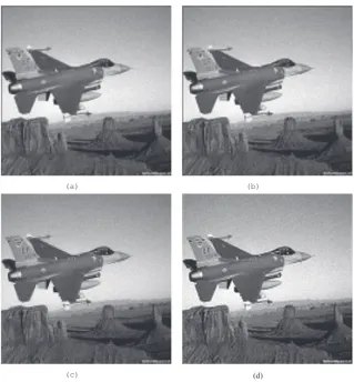 Figure 11: Interpolation Results of Plane Image. (a) Bicubic. MSE=141, a(b) Cubic Spline