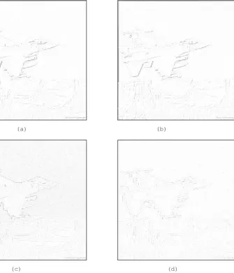 Figure 12: Error Patterns For Plane Image Interpolation.(a) Bicubic.  (b) Cubic Spline
