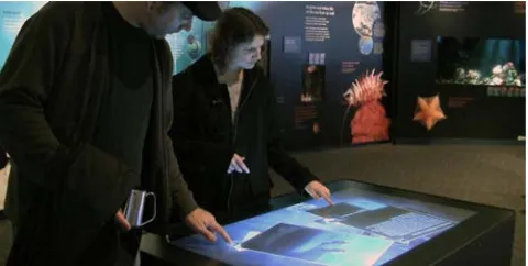Figure 1. The COLLECTION VIEWER table.