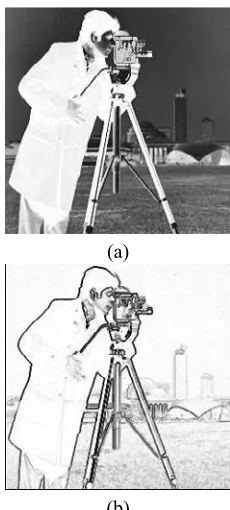 Figure 2. Hue - (a) Original Image. (b) Gradient.