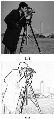 Figure 4. Intensity - (a) Original Image. (b) Gradient.