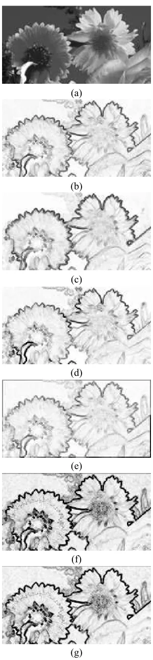 Figure 6. Segmentation Results - Flowers: (a) Set ofMarkers. (b-e) Gradient I to IV . (f) Manual WeightedGradient
