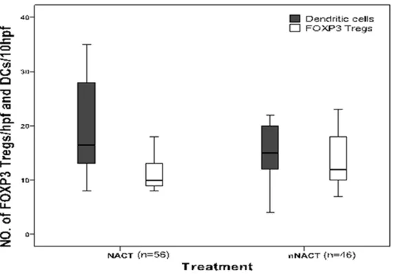 Figure 3. Intratumoral Foxp3 Tregs and DCs infiltration in NACT group vs. in nNACT group