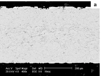 Figure 2 Back scattered electron micrographs showing the microstructures of the vacuum heat treated 