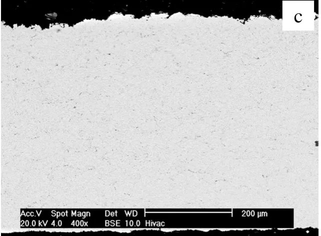 Figure 2 Back scattered electron micrographs showing the microstructures of the vacuum heat treated 