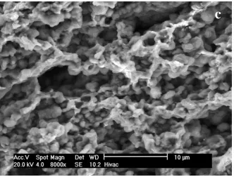 Figure 6  Fracture surface of C1 at a stress of 50 MPa and  750 C: (a) overall view of 
