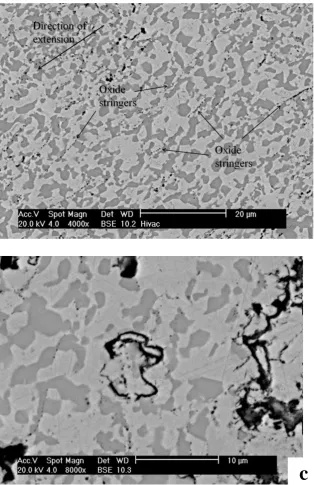 Figure  7.  (a) Low magnification BSE image of a cross section through a sample removed from the test rig prior to final failure ( 40 MPa for 1000 h) showing cavity formation between A and B and final fracture beginning close to B