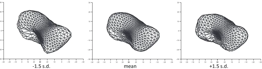 Fig. 6.The ﬁrst component of the shape model of the scaphoid. The mean ±1.5s.d. are shown.