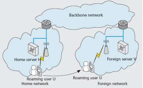 Figure 1.  Network Roaming 