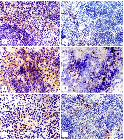 Figure 5. Splenic DC surface molecule expression after zymosan-induced injury. Spleens were collected at the in-dicated time points (n = 4)