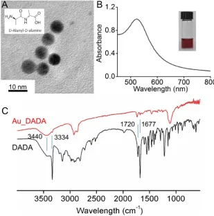 Figure 1. Characterization of Au_DADA. (A) TEM image of nanoparticles. Inserted structure is DADA