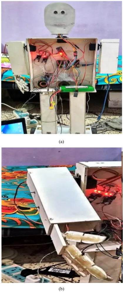 Figure 8.  (a) Whole Body. (b) Robotic arms of our developed model 