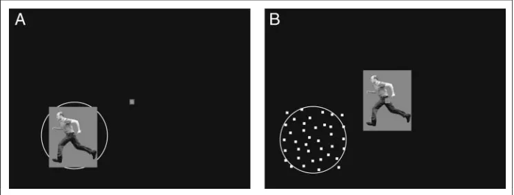 Figure 2. Schematicrepresentation of the stimuluspresentation for Experiments 1and 2. (A) Experiment 1:Monkeys fixated a red dot(illustrated here in gray) on ablack background in the middleof the monitor screen in adarkened room
