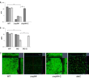 FIG 4 Role of S layer and ﬂagella in bioﬁlm formation. (A) Bioﬁlm formation by WT R20291, a cwp84 mutant (�cwp84) for days 1, 3, and 5 and a complementedstrains (cwp84-C) for day 1 in vitro as measured by CV staining