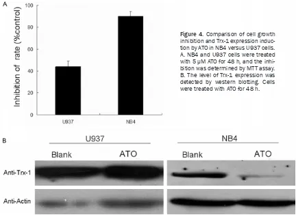 Figure 4. Comparison of cell growth inhibition and Trx-1 expression induc-