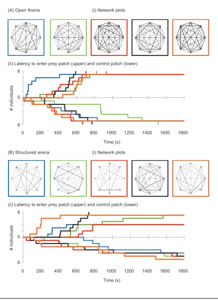 Figure 2: Network plots are shown for the open (Ai) and structured (Bi) treatments in experiment 2