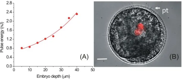 Fig. 3. (A) Pulse energy required to generate a gas bubble as a function of depth of an embryo