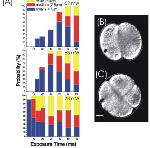 Fig. 4. (A) Gas bubble size as a function of energy dosage. Leakage strongly correlates with the size of the gas bubble