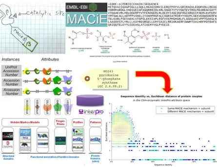 Figure 2. Clockwise from top right: Sequences, mechanisms at catalytic domain definitions are taken from MACiE and combined in a machine learning exercise with InterPro signatures, which are themselves derived from a diversity of source databases