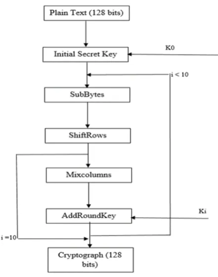 Figure 2.  System modules 