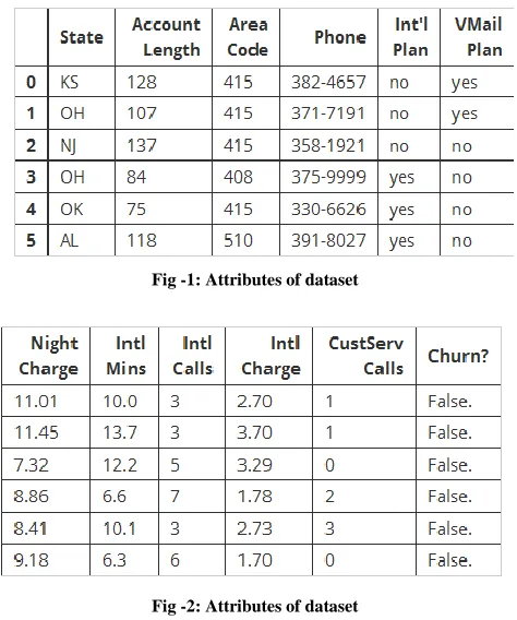 Fig -1: Attributes of dataset 