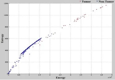 Figure 12.  The relationship between entropy and energy of slice 88 for patient BRATS_HG0015 in challenge MICCAI (BRTAS2012-BRATS-1) dataset 