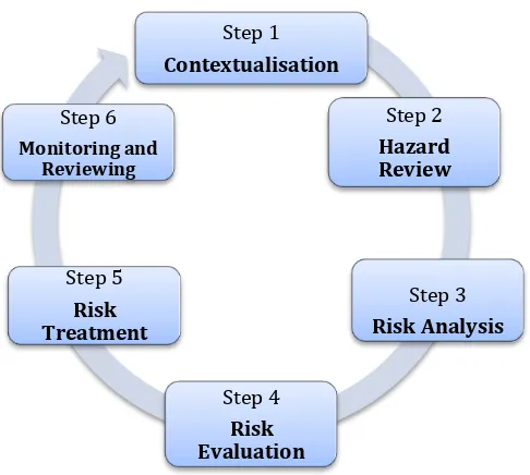 Figure 2.4: The six-step risk assessment process (Cabinet Office 2012, Local responder risk assessment of Emergency Preparedness)