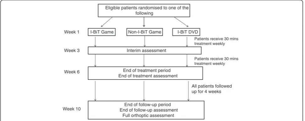 Figure 1 Outline of study procedures.