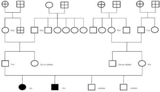 Fig. 1: Organogram for the two affected siblings. 