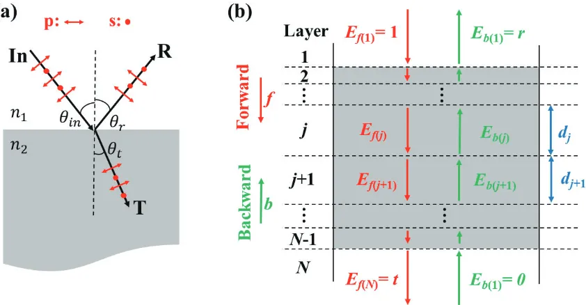 Figure 3.6: Sketches of the light-matter interaction models of the retrieval method. (a) The trans-mission (T) and reﬂection (R) of (s or p) polarised light at the interface between two media withrefractive indices of n1 and n2