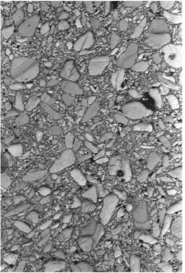 Figure 1.5: Micrograph of EDC37 [] showing a mixture of coarse and ﬁne HMX crys-The scratches and dark holes (known as “pull-outs”) are thought to be artefacts of thesample preparation, but it is clear that many of the larger striped crystals are twinned.T