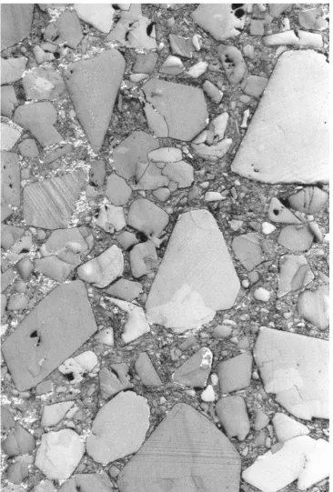 Figure 1.6: Micrograph of PBX9501 [39] showing a mixture of coarse and ﬁne HMXcrystals with diameters between 1 and 1000 µm, for comparison with ﬁgure 1.5