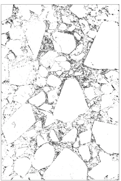 Figure 2.11: PBX9501 micrograph (ﬁgure 1.6will be used for PBX9501 in chapterat) after a double threshold has been applied a = 60 and b = 98