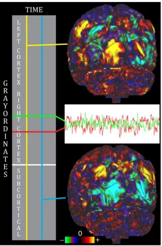 Figure 2.A CIFTI dense timeseries. The rows are grayordinates and represent the spatial dimension of