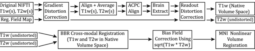 Figure 9.The steps of the PreFreeSurfer pipeline. T1w and T2w images are processed through the