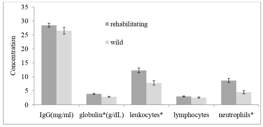 Figure 5.1b. Mean serum concentrations and white blood cell counts (1000/ul) in wild 