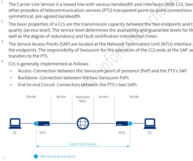 Figure 1: Graphical representation of a Carrier Line Service  