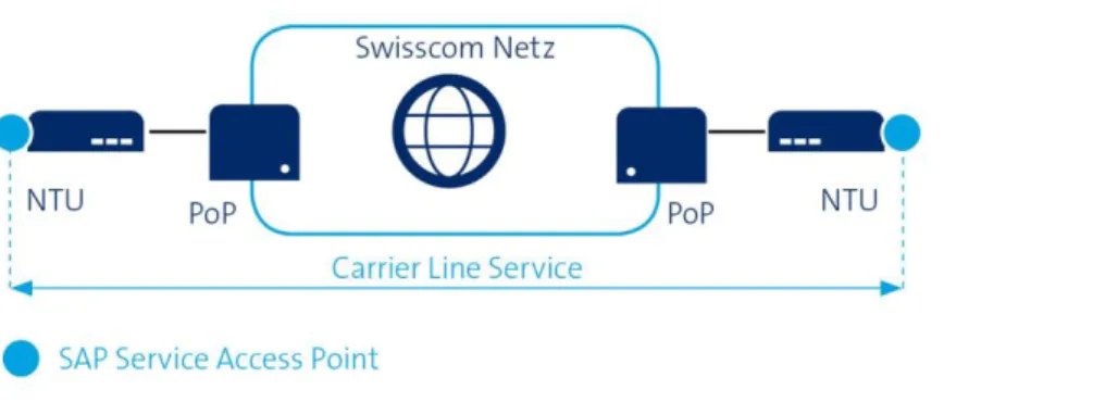 Figure 2: Graphical representation of a Carrier Line Service Basic / Premium Silver  