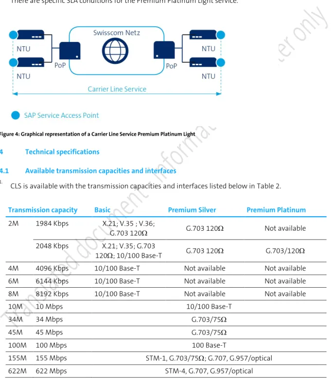 Figure 4: Graphical representation of a Carrier Line Service Premium Platinum Light  