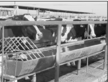 Table 6. Generally considered safe concentrations of some potentially toxic nutrients and contaminants in water for cattle.
