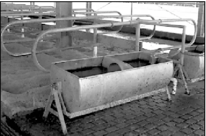 Figure 2. Microbiological analysis of water for coliform bacte- bacte-ria and other microorganisms is necessary to determine  sani-tary quality.