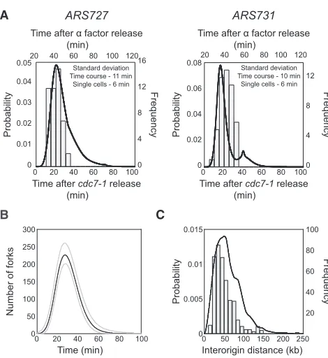 Figure 2. Origin Replication Time Is Stochastic