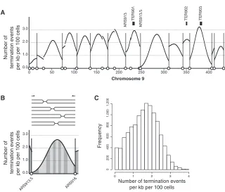 Figure 4. Replication Termination Events